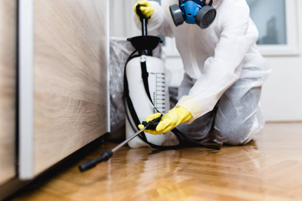 Best Residential Pest Control  in Hutchinson, MN