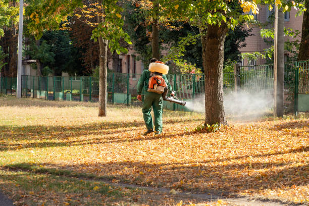 Best Rat Extermination Near Me  in Hutchinson, MN