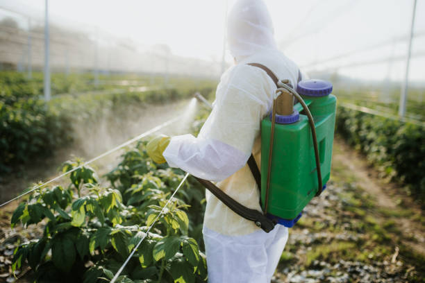 Best Best Pest Control Companies  in Hutchinson, MN